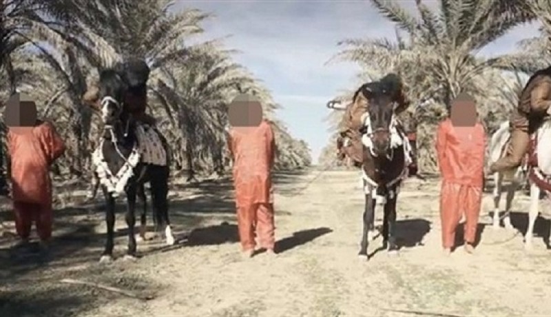 داعش يقتل 3 عراقين سحلًا بالخيول