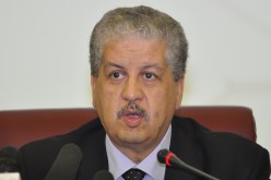 أسئلة مفخّخة لاستهداف سلال