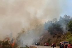بجاية: نشوب 20 حريقا في ظرف 24 ساعة الأخيرة