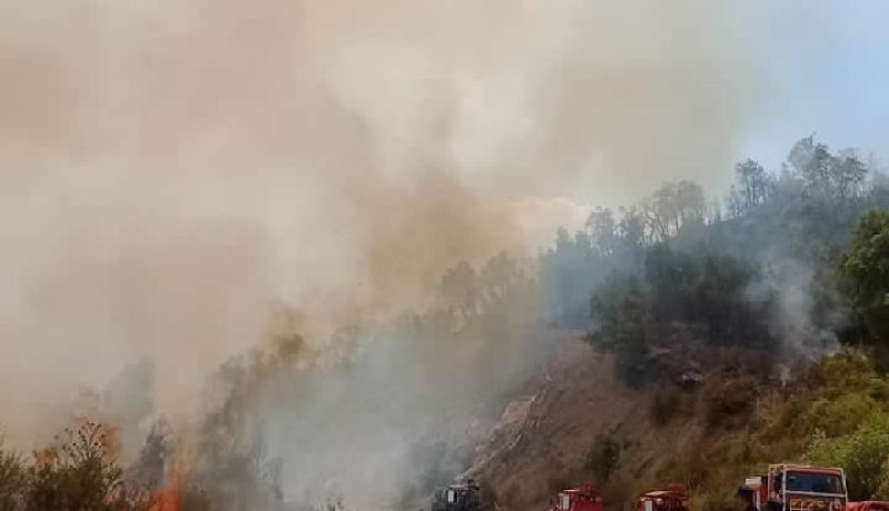 بجاية: نشوب 20 حريقا في ظرف 24 ساعة الأخيرة