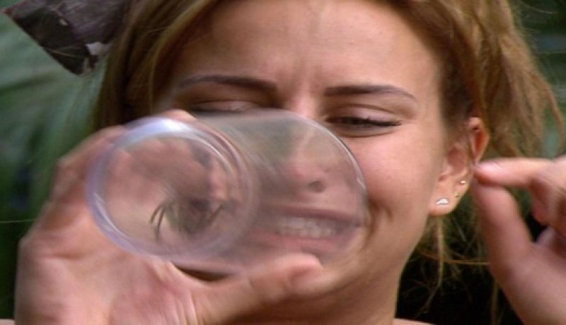 بالفيديو  ممثلة بريطانية مشهورة تأكل  عنكبوتا  ضخما على الهواء