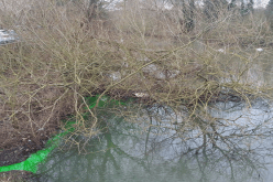 نهر بمياه خضراء ساطعة اللّون يثير ريبة السكّان