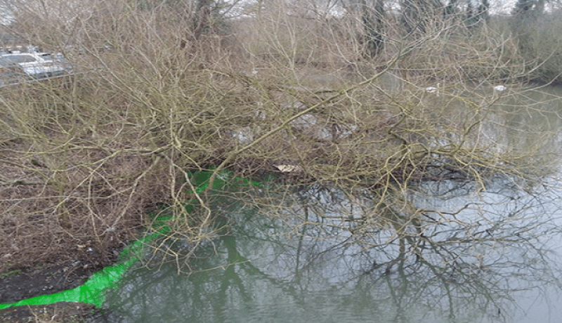 نهر بمياه خضراء ساطعة اللّون يثير ريبة السكّان