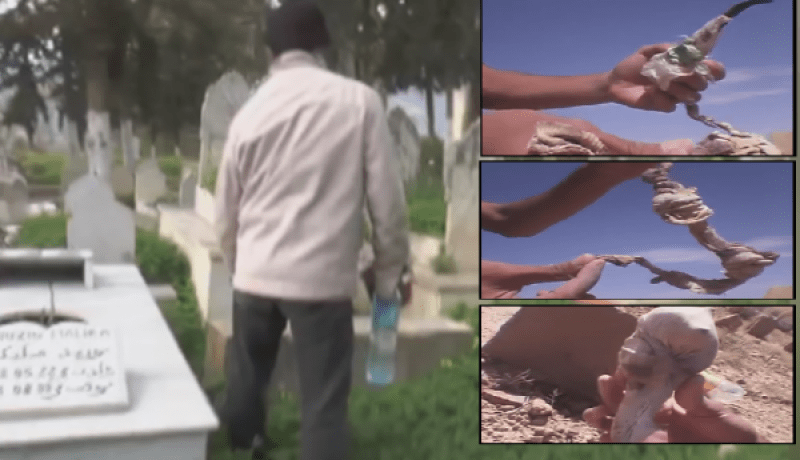 توقيف امرأتين تقومان بأفعال مشبوهة بمقبرة بمدينة عزابة بسكيكدة