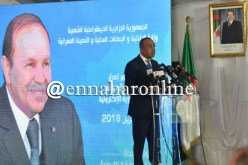 بدوي: بوابة إلكترونية للهواتف الذكية قريبا