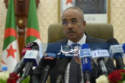 بالصور..بدوي يشرف على الإحتفالات الرسمية لليوم الوطني للبلدية