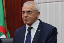 بوحجة يصف الانتخابات المحلية بالمهمة جدا