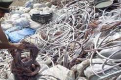 تسجيل 12 عملية سرقة للكوابل الهاتفية في المدة الأخيرة بتيزي وزو