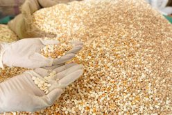 القبض على سوريَين وسيريلانكي حاولوا إدخال كميات كبيرة من المخدرات بالسعودية