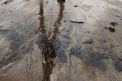 كارثة بيئية بعد تسرب البترول في‮ ‬شواطئ سكيكدة