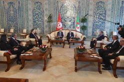 المحادثات بين الرئيس تبون وقيس سعيد تتوسع لأعضاء وفدي البلدين