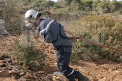 حرائق خنشلة.. إنجاز خندق كبير مضاد للنيران لتفادي إنتشارها