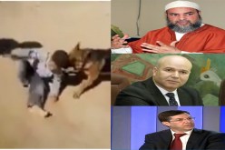 العائلة تنفي ماتداوله الفيديو والأخصائيون يطالبون بمعاقبة المعتدين