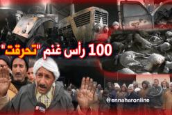 هلاك قرابة 100 رأس من الماشية.. مجهولون يحرقون مستودعين في تيارت