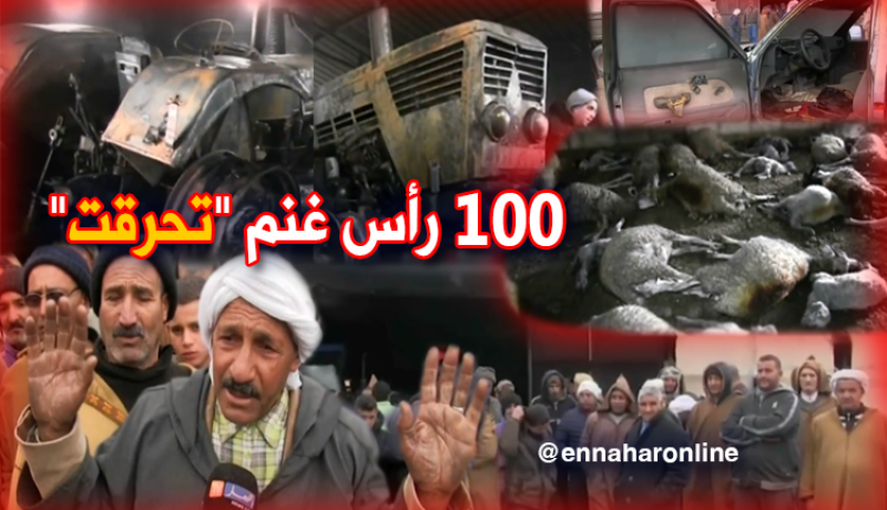 هلاك قرابة 100 رأس من الماشية.. مجهولون يحرقون مستودعين في تيارت