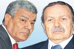 لقاء مرتقب بين الرئيس بوتفليقة وسعداني لتشكيل الحكومة