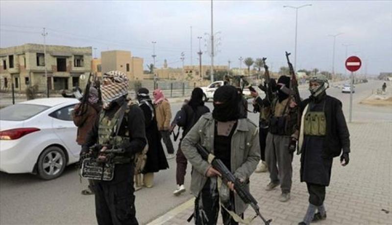الجيش يقتل 100 مسلح في سيناء في مصر