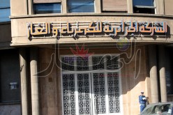 فلاحون يحتجون أمام مقر مؤسسة سونلغاز بالوادي