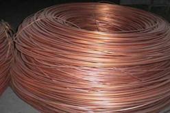 الإطاحة بعصابة لسرقة الكوابل الكهربائية النحاسية بسكيكدة