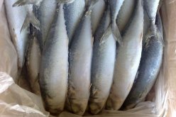 وزارة التجارة تحقق حول سمك مارلون مجمد منتهي الصلاحية في الأسواق