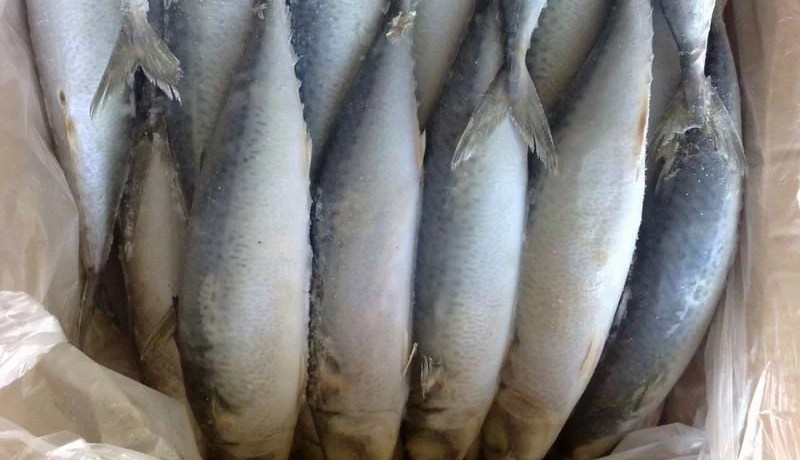 وزارة التجارة تحقق حول سمك مارلون مجمد منتهي الصلاحية في الأسواق