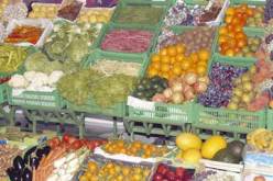 أسعار المنتجات الفلاحية تشهد ارتفاعا كبيرا في شهر أكتوبر