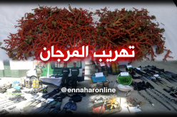 عنابة.. درك الحجار يحجز كمية من المرجان ومعدات غطس