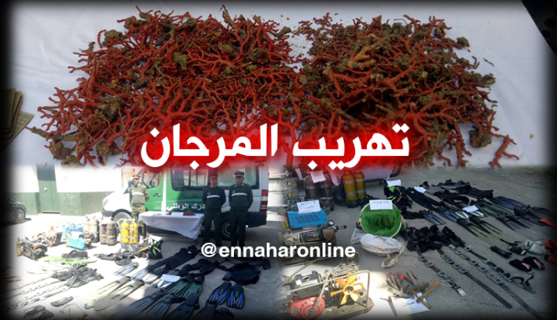 عنابة.. درك الحجار يحجز كمية من المرجان ومعدات غطس