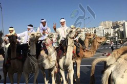 بالصور..أصحاب الخيول يصنعون أجواء رائعة في العاصمة