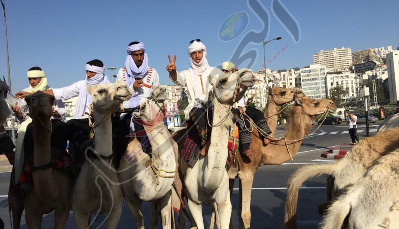 بالصور..أصحاب الخيول يصنعون أجواء رائعة في العاصمة