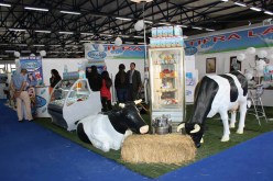 أمريكا تجسد مشروعا فلاحيا بـقيمة 300 مليون دولار بولاية أدرار