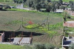 محاسب سابق بتعاضدية عمال الضمان الاجتماعي يتّهم المدير العام السابق بالتلاعب بالعقار ونهب المال العام