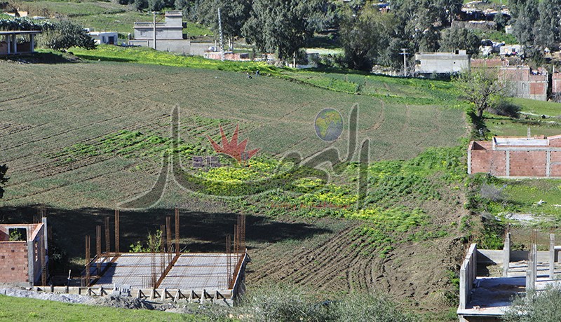 محاسب سابق بتعاضدية عمال الضمان الاجتماعي يتّهم المدير العام السابق بالتلاعب بالعقار ونهب المال العام