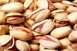 الفستق يخفض من مخاطر الإصابة بأمراض القلب