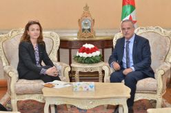 الجزائر والدانمارك يلحان على دفع علاقات التعاون إلى شراكة