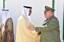 قايد صالح  يُستقبل من  طرف محمد بن زايد آل نهيان