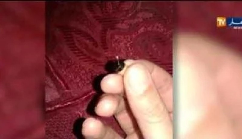 سلال يؤكد أن الحكومة ستحارب الغش في قطاع التربية الوطنية بكل صرامة