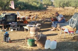 كهل يقيم تحت شجرة ويحاول الانتحار بالحروش في سكيكدة
