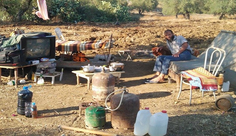 كهل يقيم تحت شجرة ويحاول الانتحار بالحروش في سكيكدة