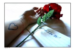 النهار تحقق حلمك و تزف لك عريسك