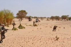 توقيف 9 مهربين و42 مهاجرا غير شرعيا بجنوب البلاد