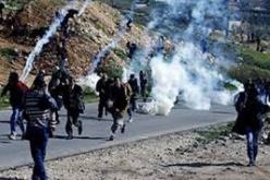 الجيش الإسرائيلي يأسر 13 فلسطينيا ومستوطنون يحرقون مركبتين في الضفة الغربية