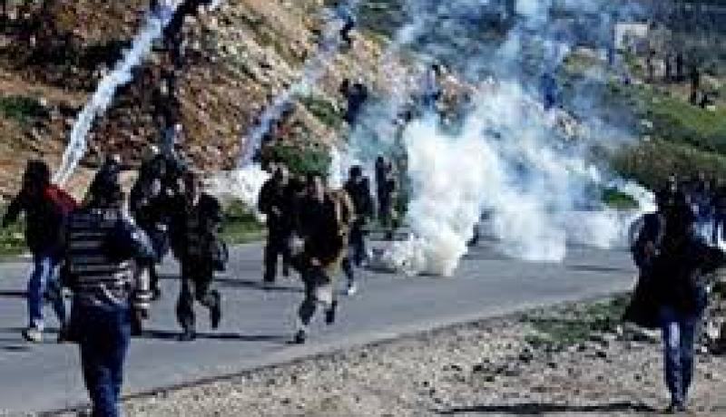 الجيش الإسرائيلي يأسر 13 فلسطينيا ومستوطنون يحرقون مركبتين في الضفة الغربية