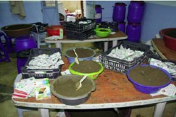 التماس 5 سنوات سجنا لخمسة أشخاص أنشأوا ورشة سرية لصنع الشمة بعين البنيان في العاصمة