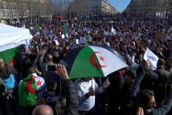 تمديد الرابعة وتأجيل الرئاسيات يخرج الجالية الجزائرية المقيمة بفرنسا