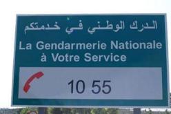 الرقم الأخضر للدرك الوطني يستقبل أكثر من 5.7 مليون اتصال منذ إطلاقه سنة 2011