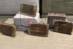 حجز 6 قناطير من الكيف وتوقيف 3 بارونات في تلمسان