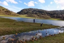 توجيه إعذارات للوحدات الصناعية المسؤولة عن تلوث بحيرة الرغاية