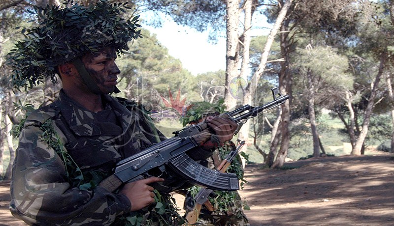 الجيش يقضي على إرهابيين بتيزي وزو واثنين يـسلّمان نفسيهما في قسنطينة