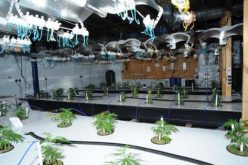 بالصوروالفيديو.. بهذه الطريقة أخفي مصنعًا ضخمًا للمخدرات